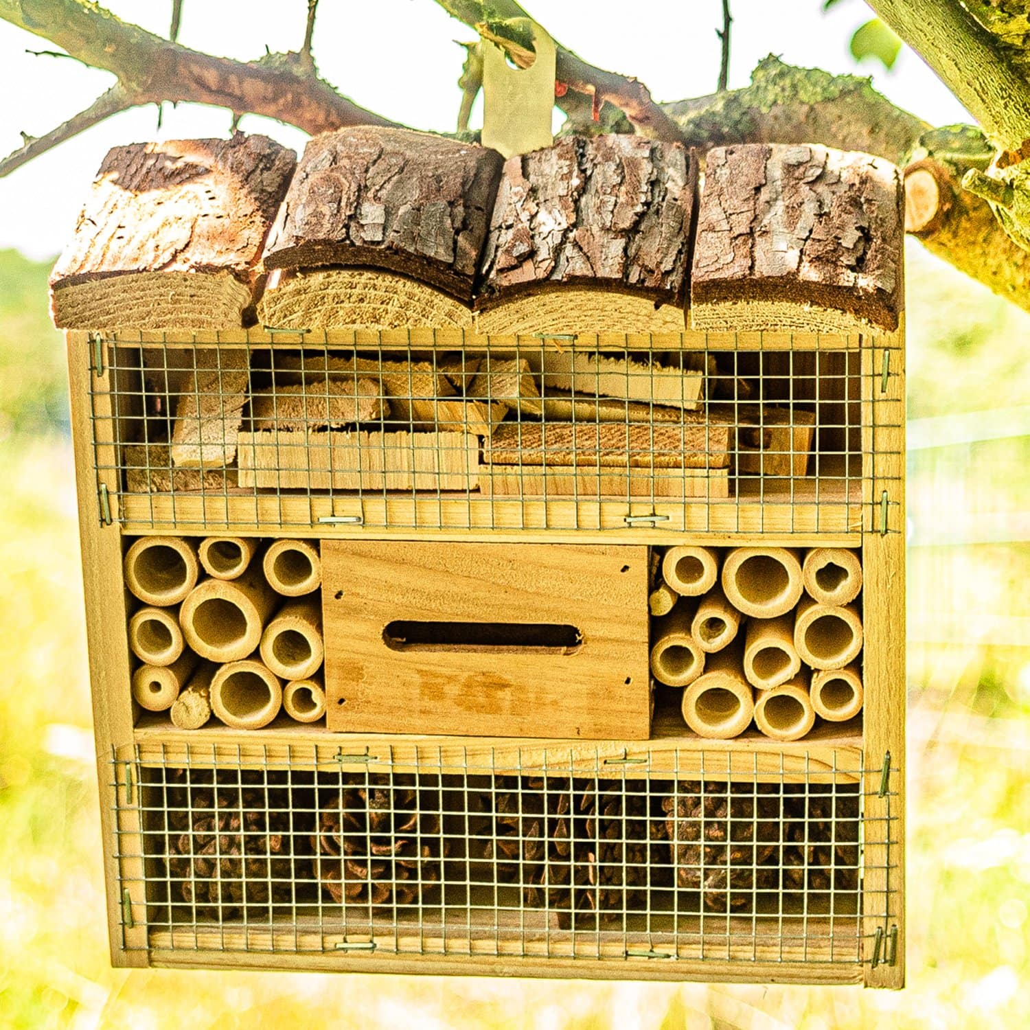 Insektenhaus mit Personalisierung